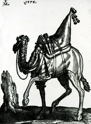 Camelo (xilogravura)